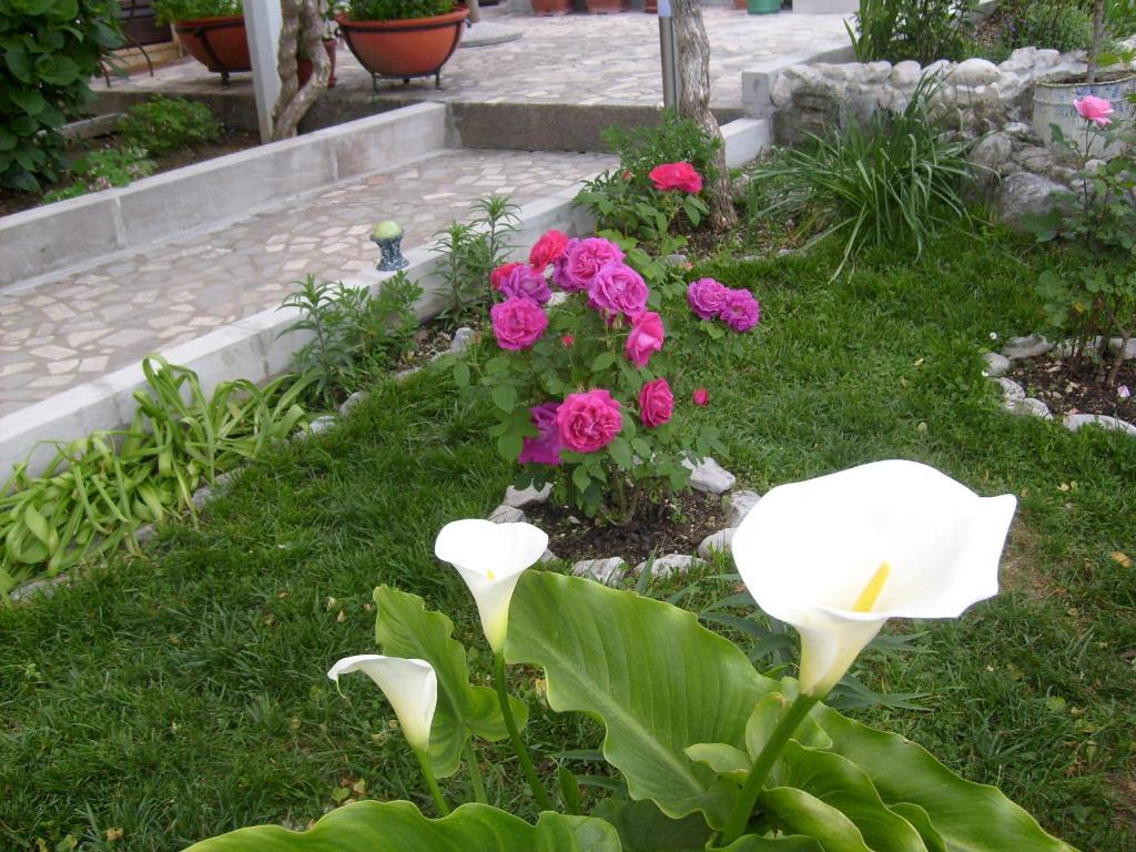 הרצג-נובי Apartments Bovan מראה חיצוני תמונה